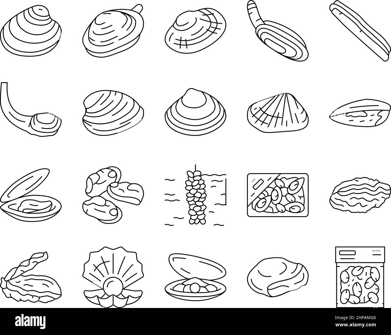 Clam Marine Sea Farm Nutrition icone Set Vector . Illustrazione Vettoriale