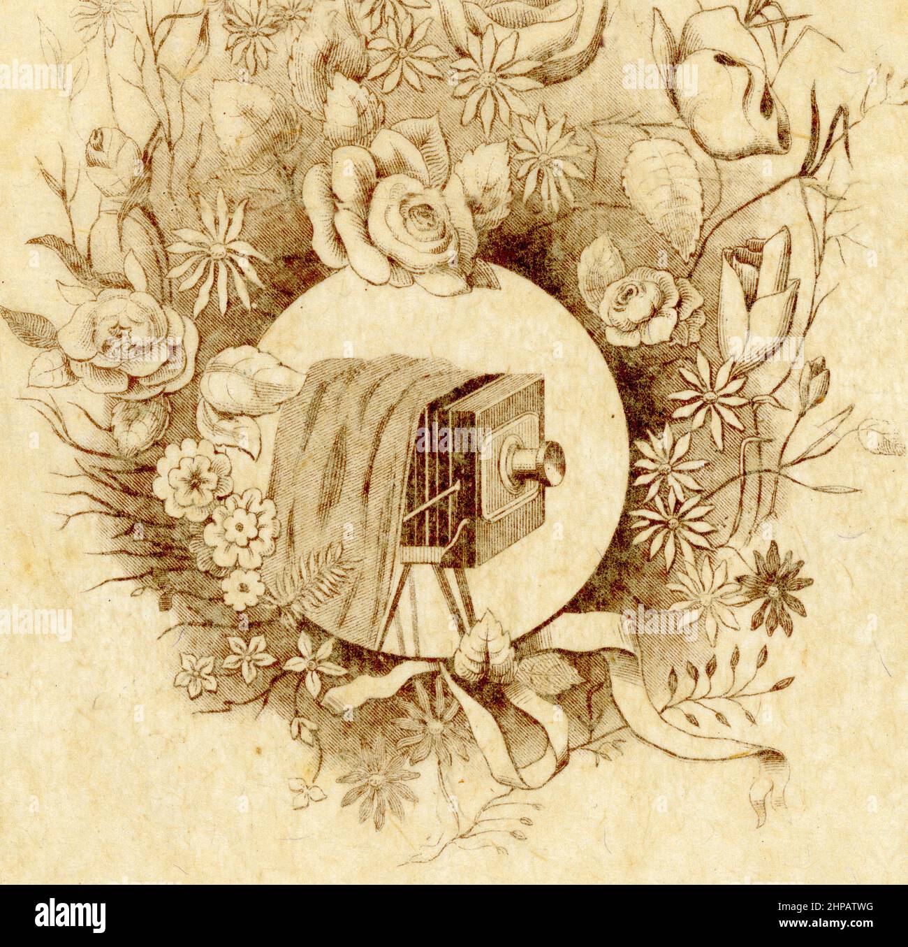 Reverse di bello elaborato originale tardo vittoriano o Edwardian scheda cabinet, l'illustrazione sulla custodia di carta protettiva, caratterizzato da una vecchia grande formato vetro piano camera, dallo studio di Hellis & Sons, Londra, Inghilterra, Regno Unito circa 1901. Foto Stock Reverse di bello elaborato originale tardo vittoriano o Edwardian scheda cabinet, l'illustrazione sulla custodia di carta protettiva, caratterizzato da una vecchia grande formato vetro piano camera, dallo studio di Hellis & Sons, Londra, Inghilterra, Regno Unito circa 1901. Foto Stock