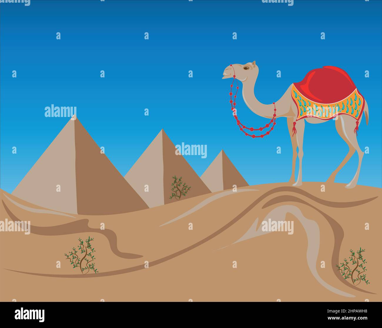Un carino cammello sullo sfondo delle tre piramidi d'Egitto. Il viaggio in Oriente delizia la mente e l'anima. Belle dune del deserto, pyra misterioso Illustrazione Vettoriale