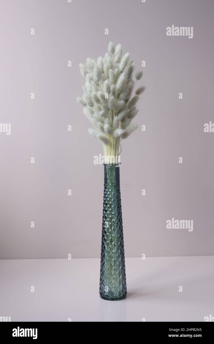 Bouquet di fiori secchi soffici in vaso su sfondo grigio Foto Stock