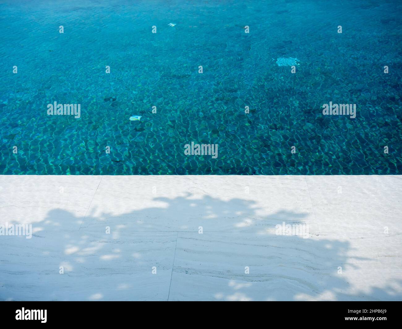 Superficie d'acqua limpida con ombra d'albero sullo sfondo della piscina, nessuno. Astratto marmo bianco texture sott'acqua con griglia piastrelle pattern, no p Foto Stock