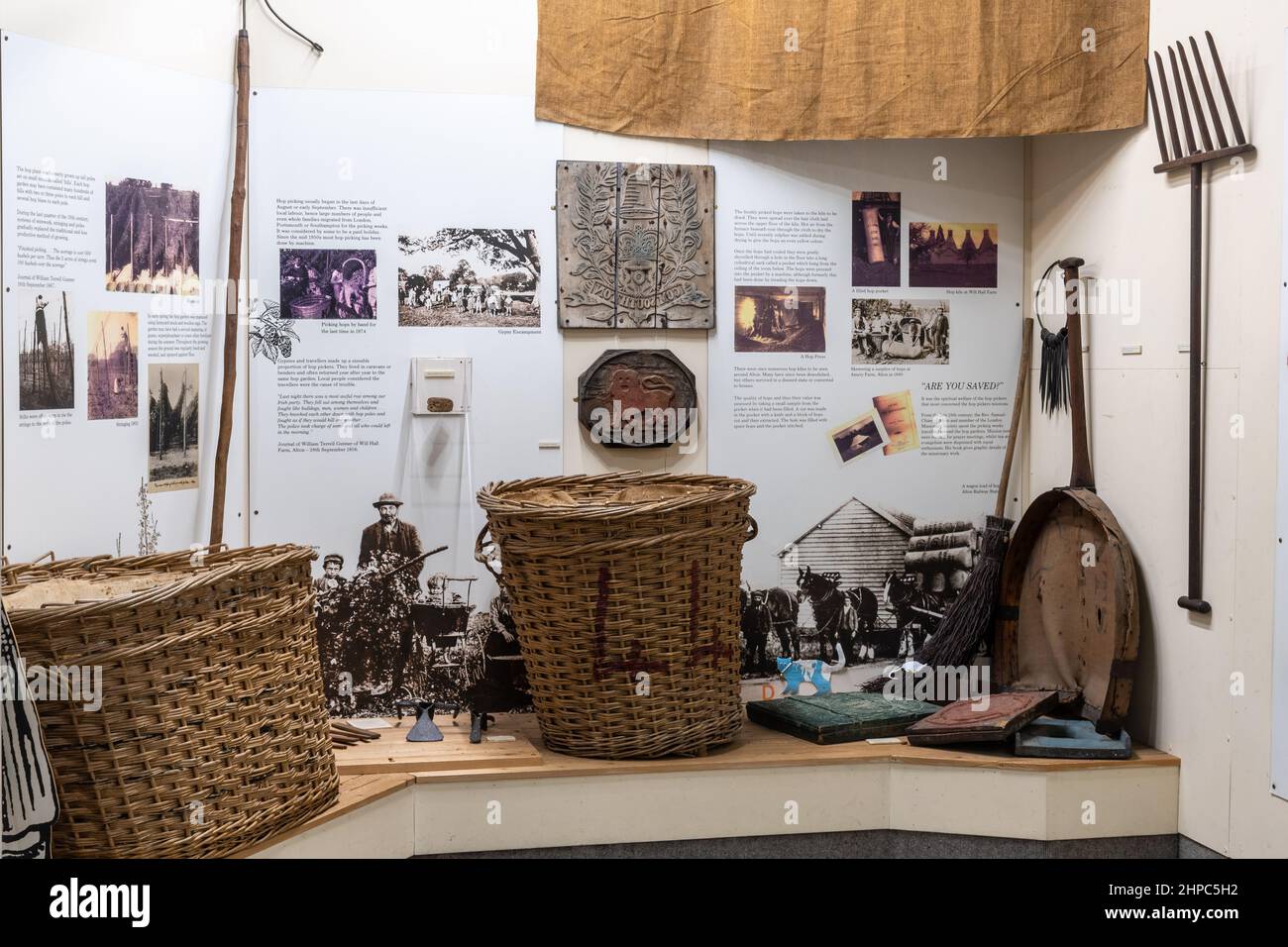 Curtis Museum, il museo di storia locale nel centro di Alton, Hampshire, Inghilterra, Regno Unito. Mostra sulla raccolta e l'estrazione del luppolo Foto Stock