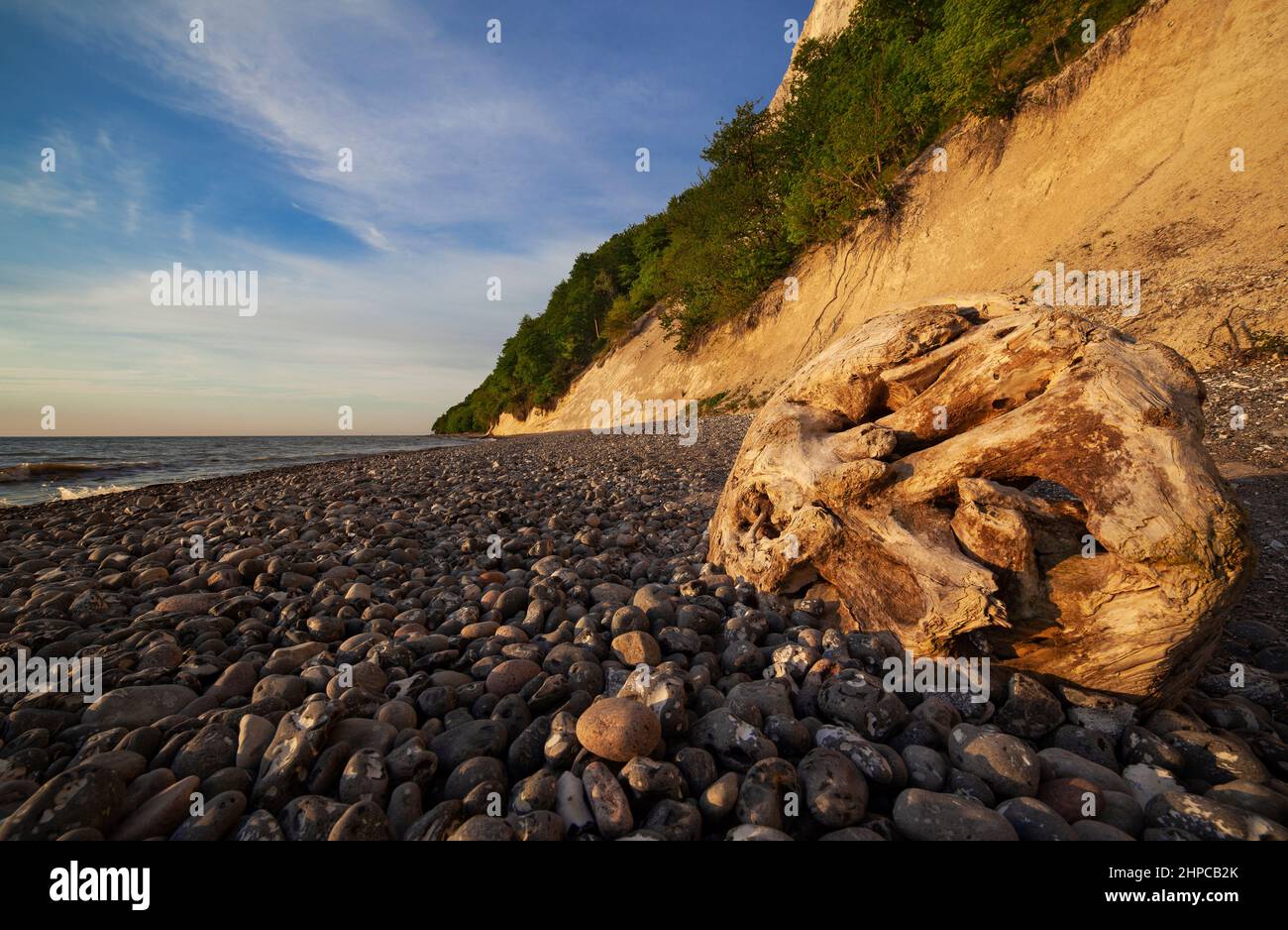 Meclemburgo-Pomerania occidentale, Mar Baltico, Isola di Rügen, Parco Nazionale di Jasmund costa baltica Foto Stock