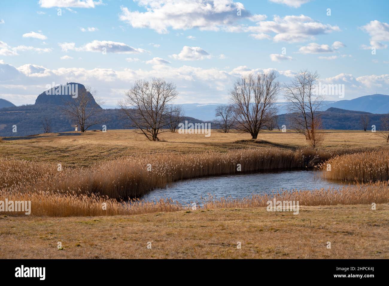Scarico di Radovesice, residuo ricultivato di estrazione di carbone strip. Piccolo lago e vista verso la collina di Bořeň. Foto Stock