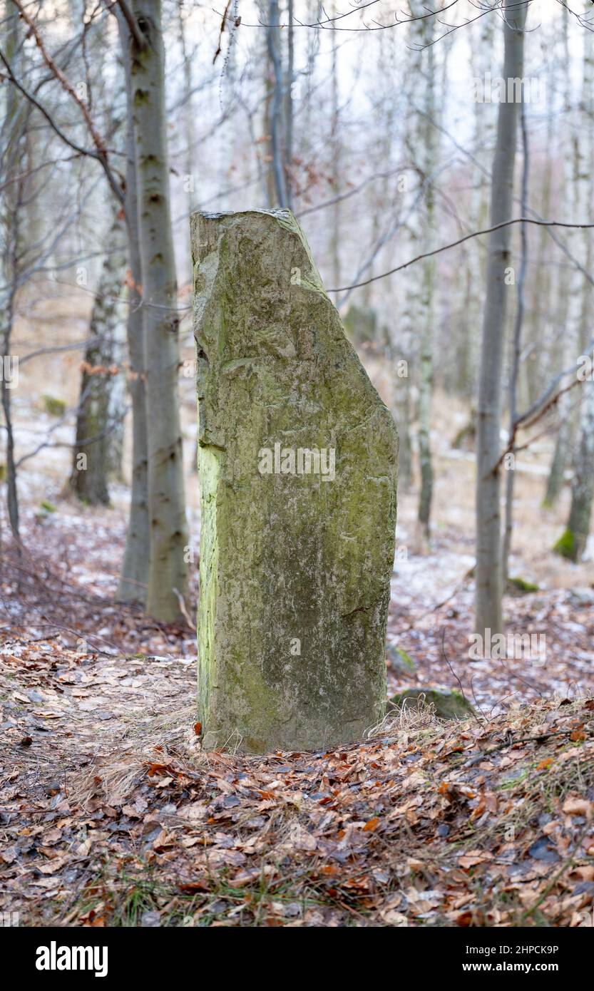 Un'antica pietra di origine incerta sul lato della collina di Zvon in Uplands bohémien centrale, repubblica Ceca. Foto Stock