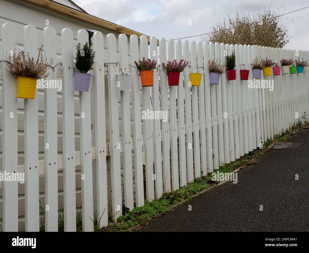 Vasi di fiori lungo l'esterno di una recinzione giardino lungo il marciapiede, Polruan, Cornovaglia, Regno Unito Foto Stock