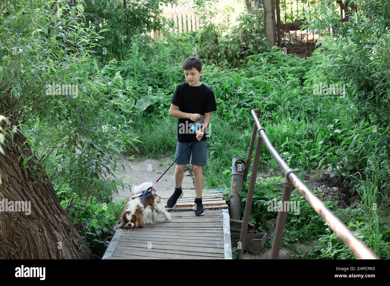 Il ragazzo piccolo e il cane compagno preferito coker spaniel amico Charles a piedi in giardino, alberi, verde su ponte di legno. Foto Stock
