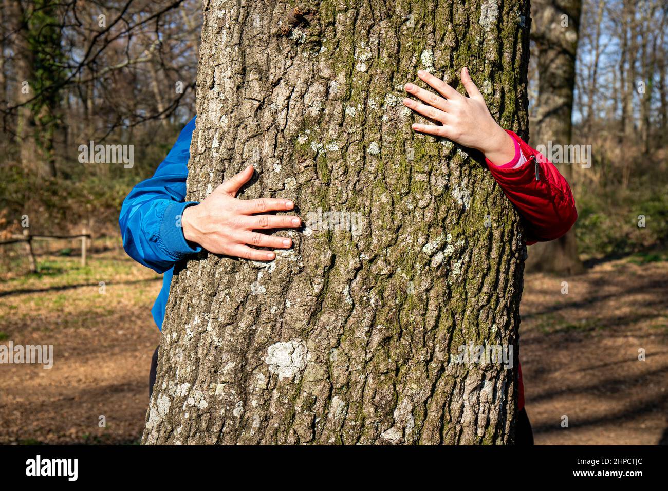 La giovane coppia abbraccia un grande albero di quercia. La coppia si nasconde dietro l'albero e bacia. Concetto di benessere e amore per la natura. Foto Stock