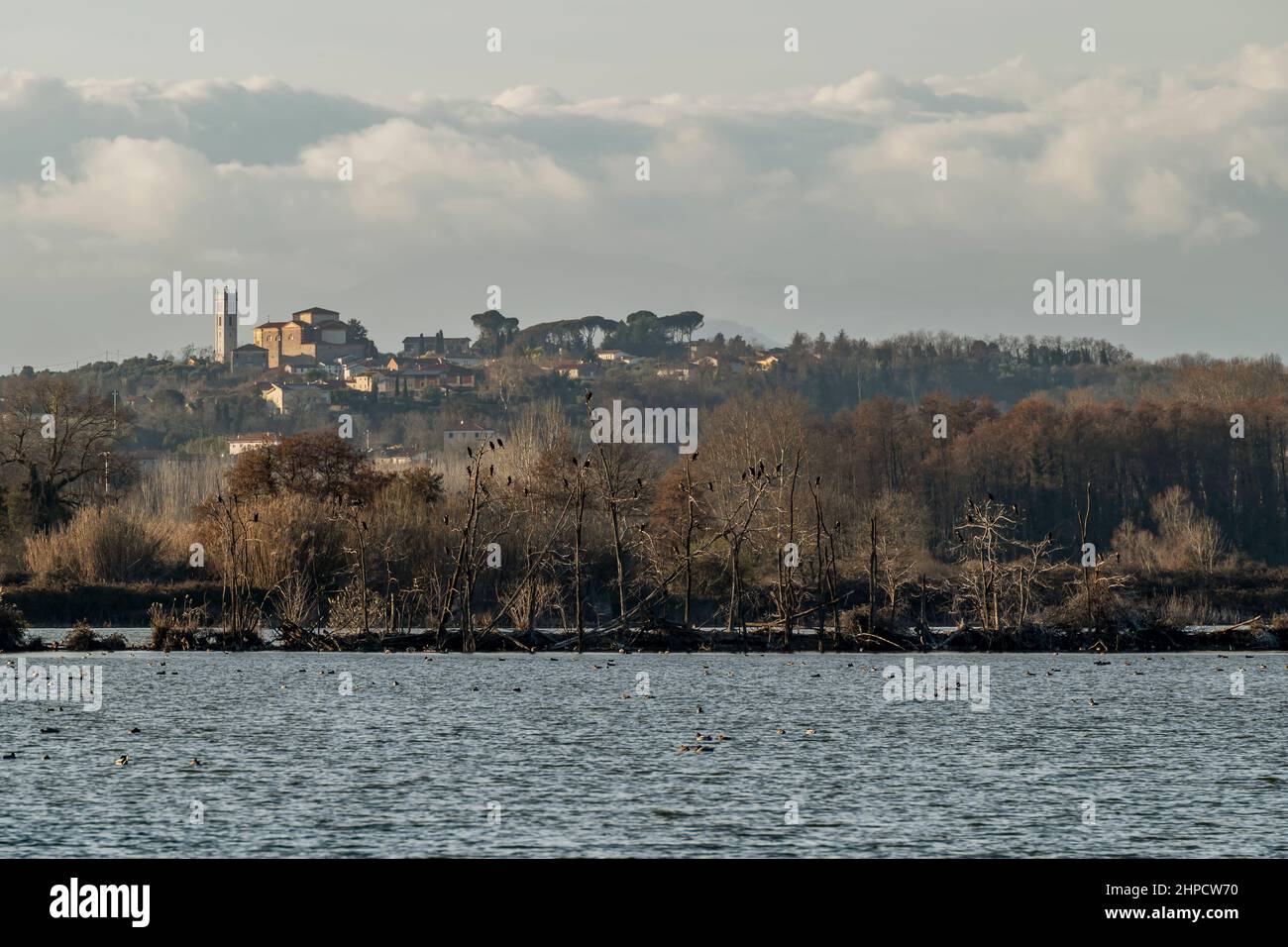 Lago di Gherardesca con San Ginese di Compito sullo sfondo, Lucca, Italia Foto Stock