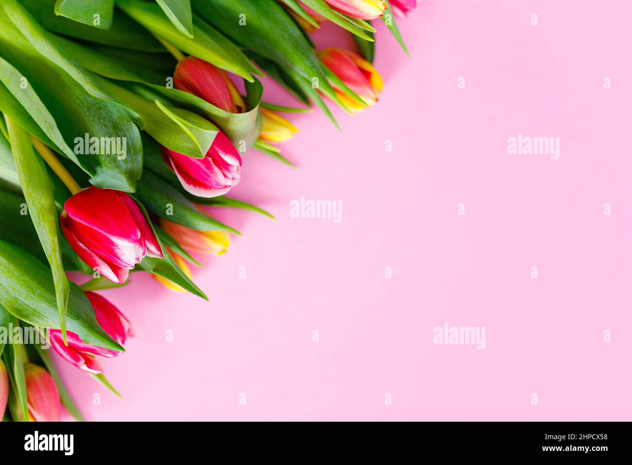 Bel mazzo di tulipani, bordo floreale. Layout per le vacanze primaverili. Biglietto di auguri per il giorno della madre Foto Stock