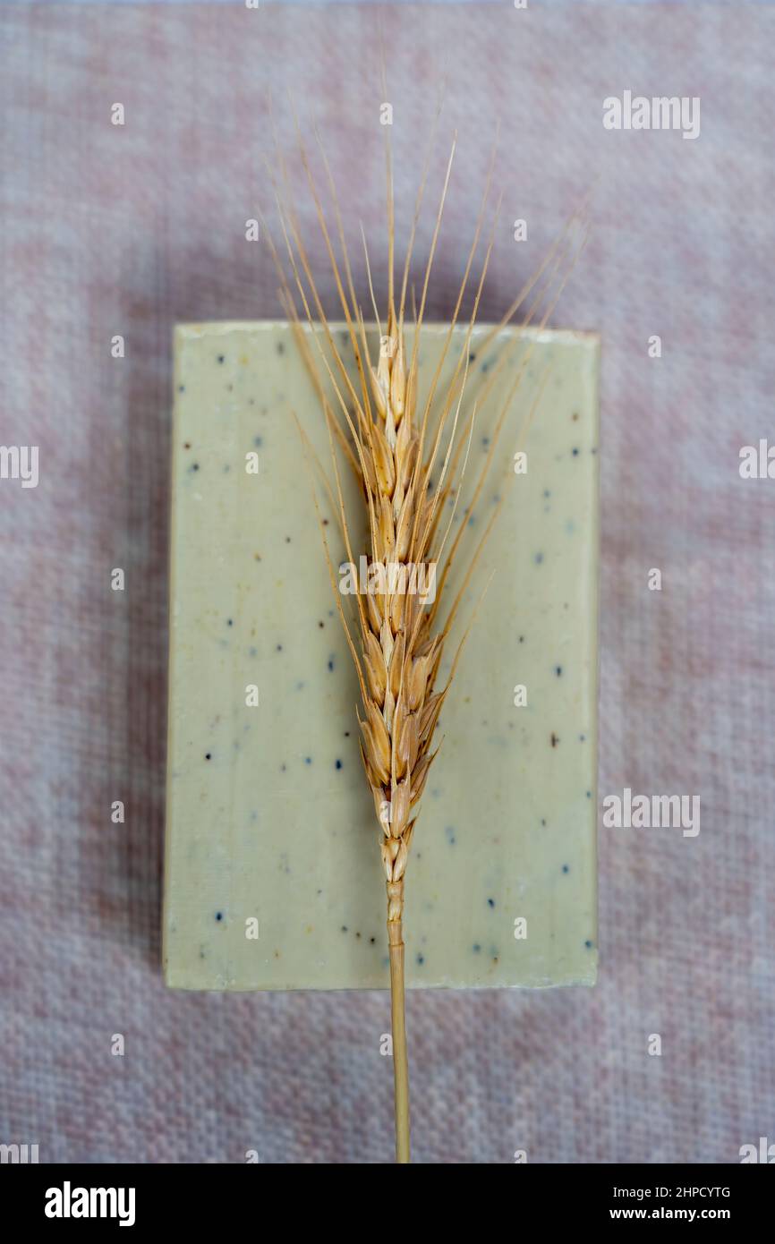 Sapone di grano naturale e di erbe fatto in casa. Foto Stock