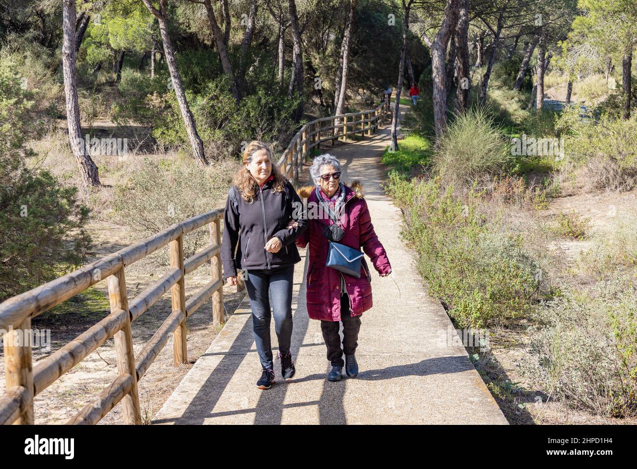 Una donna matura che cammina con la madre anziana lungo il percorso forestale tra i pini mediterranei Foto Stock