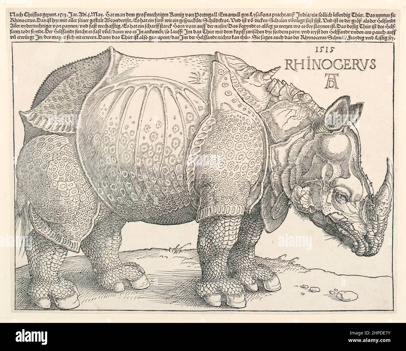 Il rinoceronte di Dürer 1515 incisione di un rinoceronte indiano che visitò Lisbona nel 1513 da Alberto Dürer (1471-1528). Foto Stock