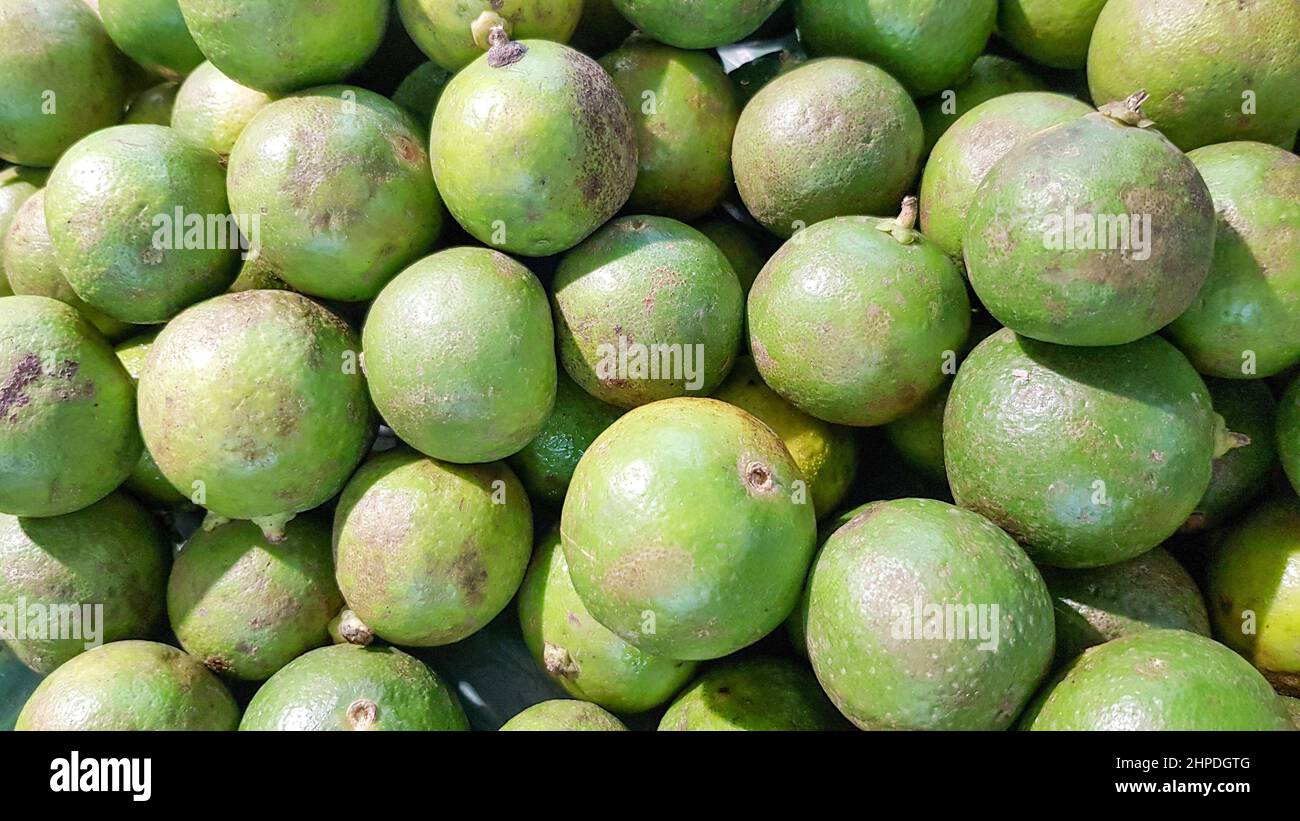 Molti lime verdi sono messi sugli scaffali per la vendita. Foto Stock