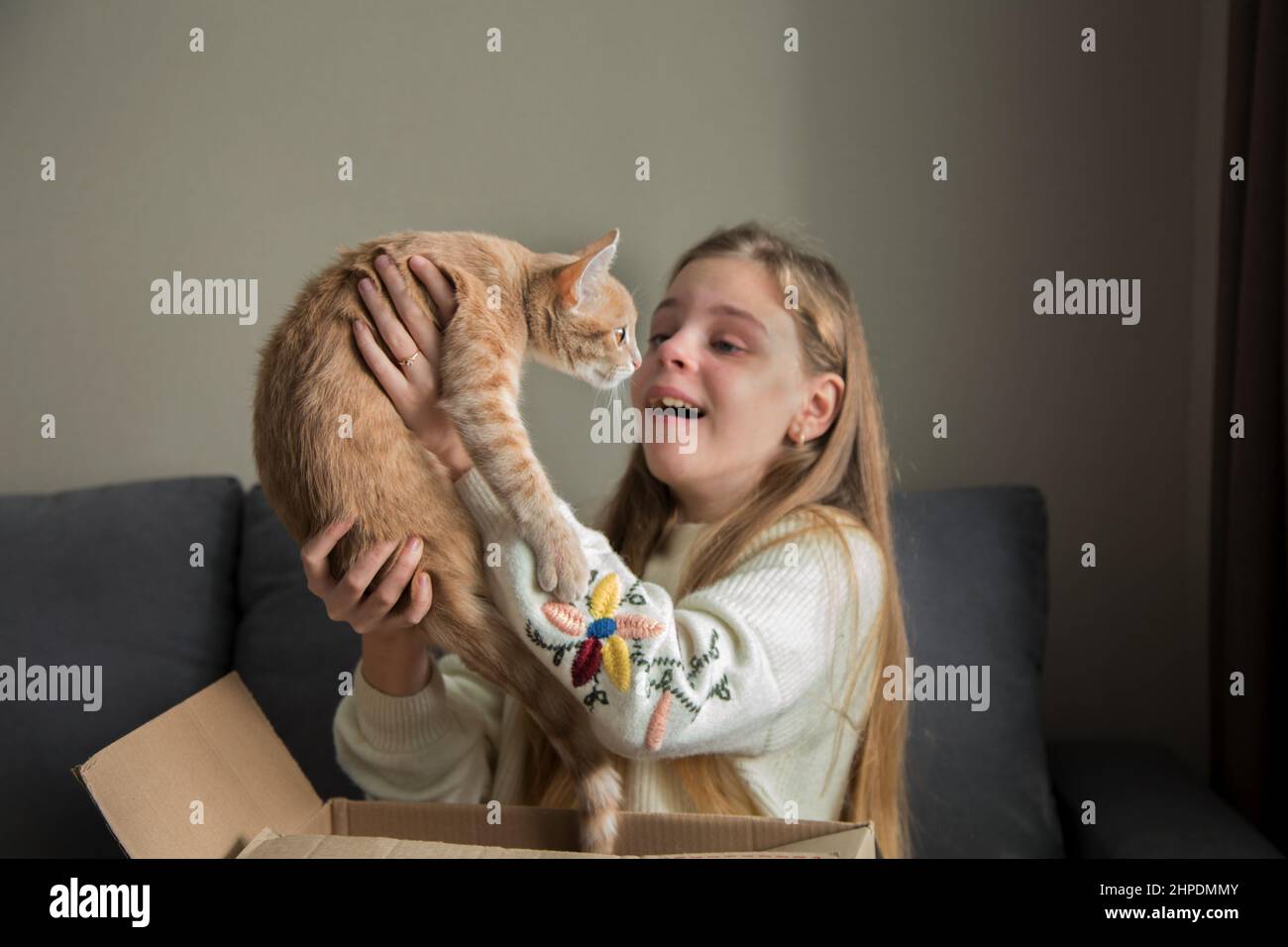 ragazza felice che tiene un gattino in una scatola del regalo, regalo di compleanno Foto Stock