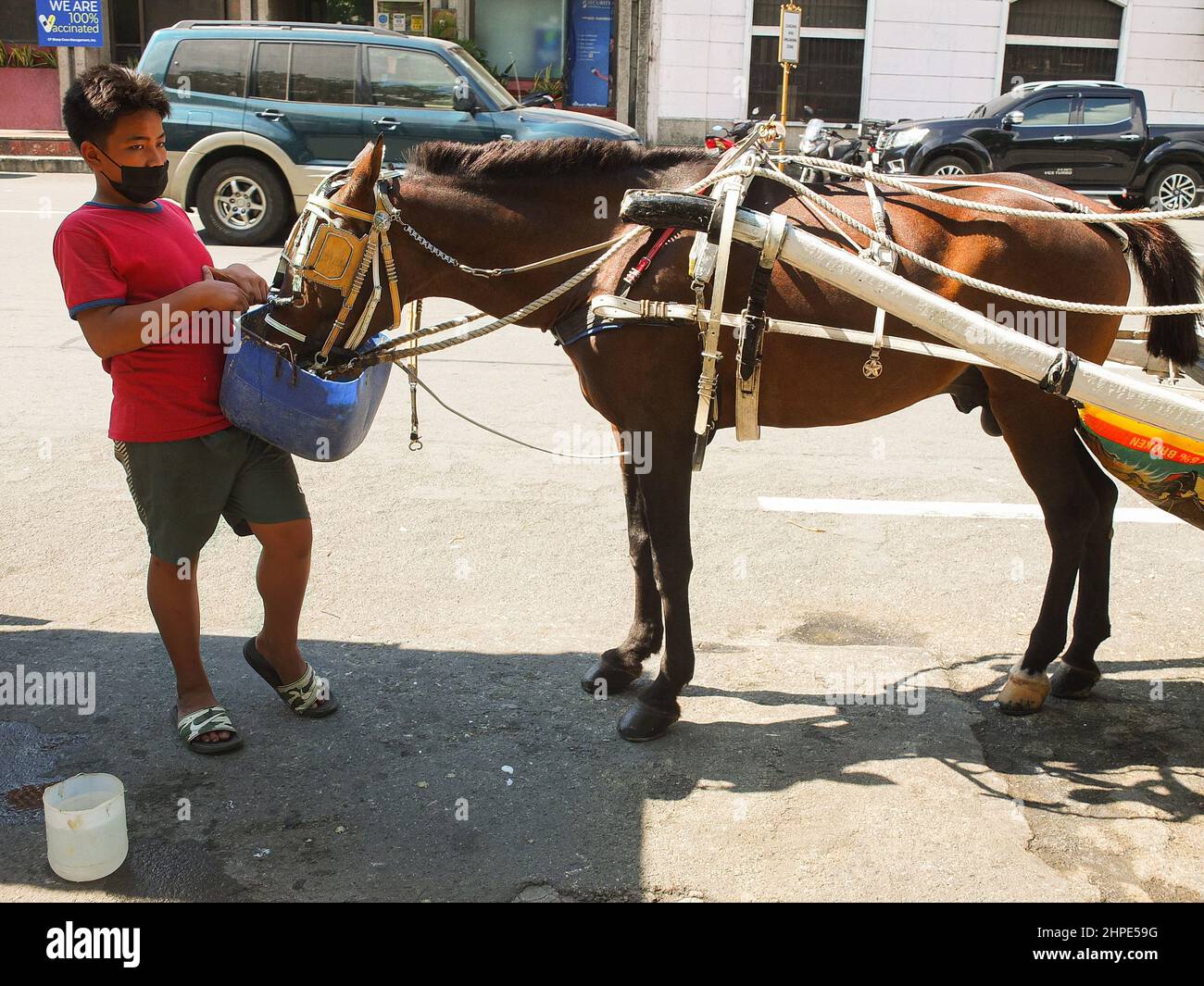 Manila, Filippine. 18th Feb 2022. Un ragazzo nutre il suo cavallo a Manila. (Credit Image: © Josefiel Rivera/SOPA Images via ZUMA Press Wire) Foto Stock