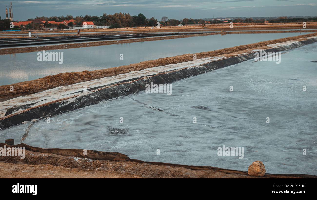 Campo di sale a Madura Foto Stock