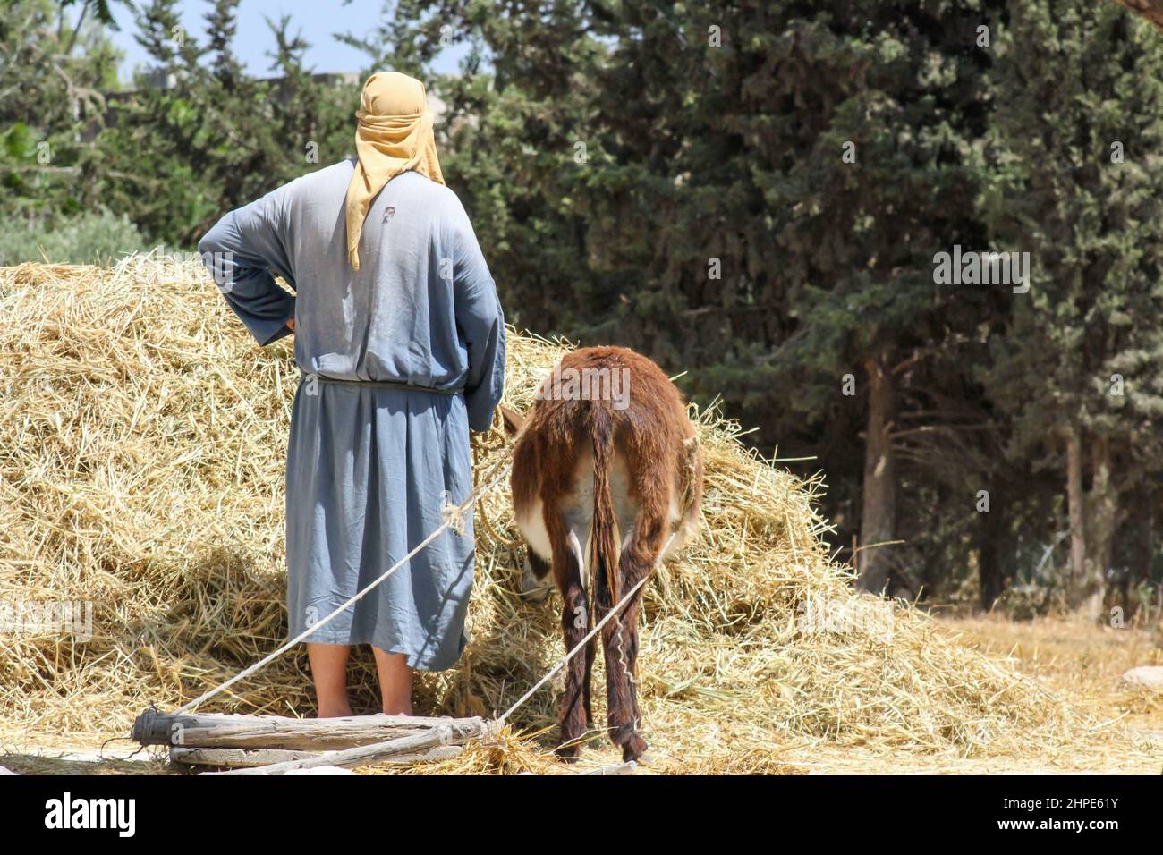 Un attore raffigura un primo secolo pastore a Nazaret Village museo all'aria aperta a Nazaret, Israele. Foto Stock