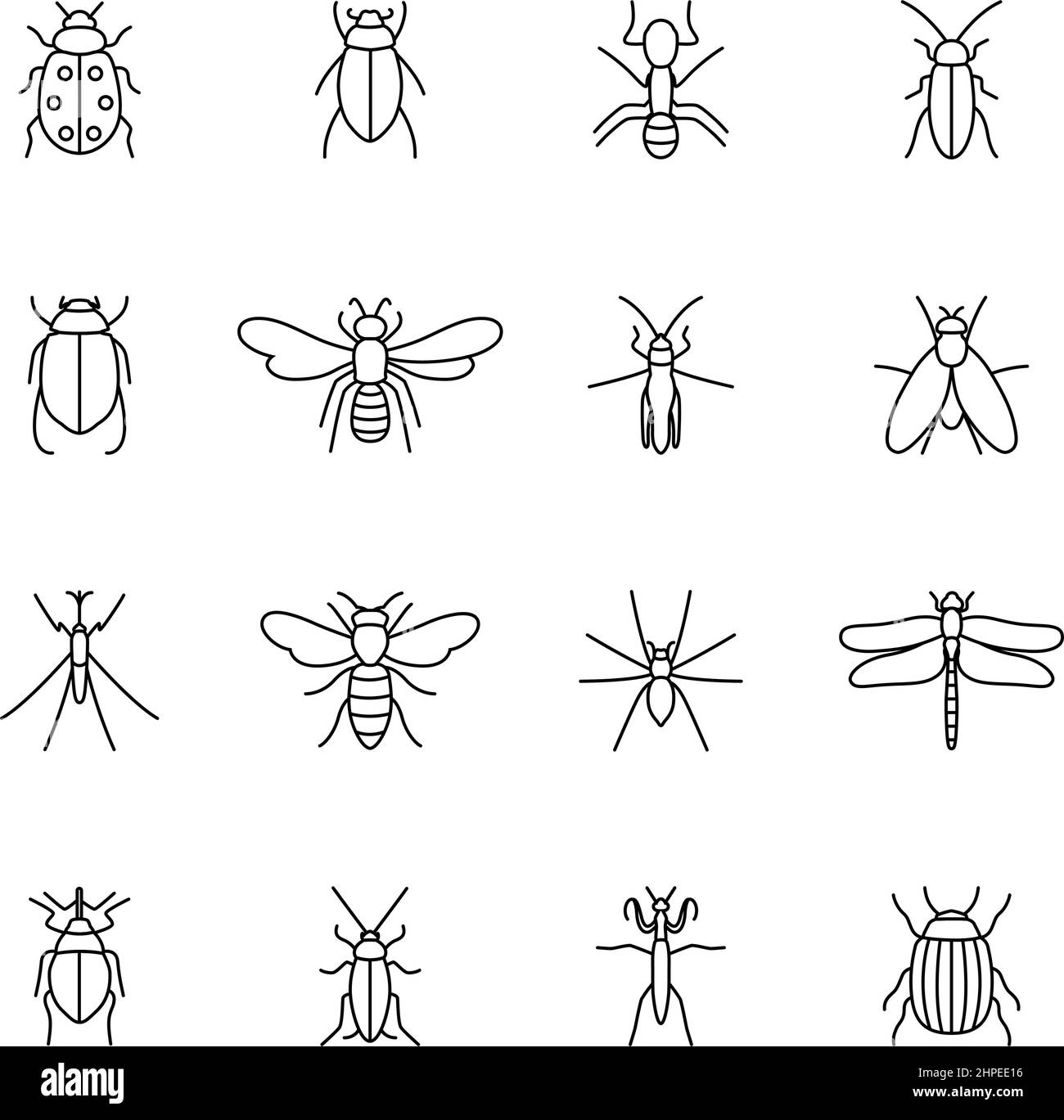 Insieme di icone di insetti, illustrazione vettoriale Illustrazione Vettoriale