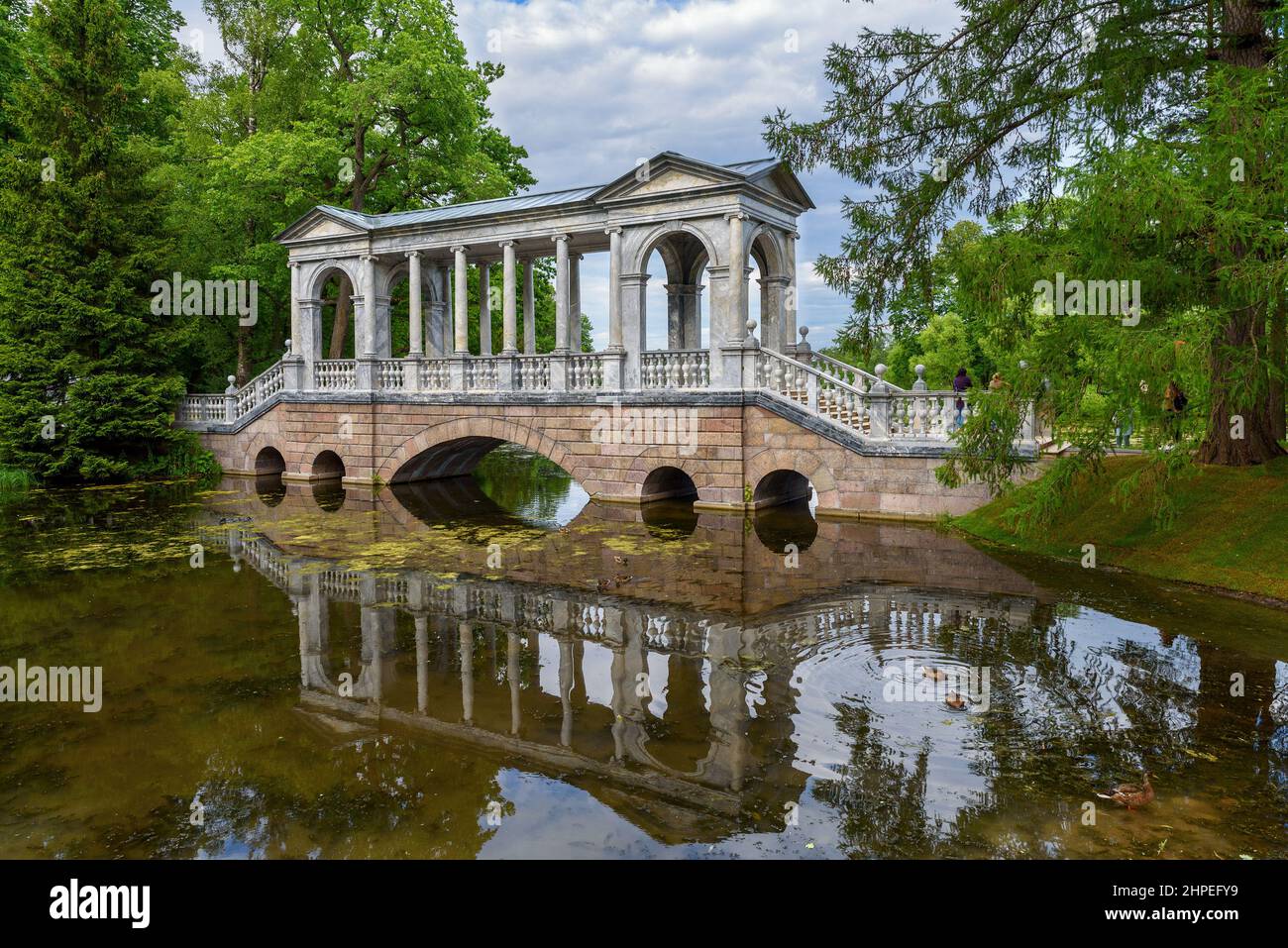 Tsarskoye Selo, San Pietroburgo, Russia – 7 luglio 2020: Il Ponte di marmo si riflette nell'acqua del piccolo stagno con anatre. Il Parco Catherine Foto Stock