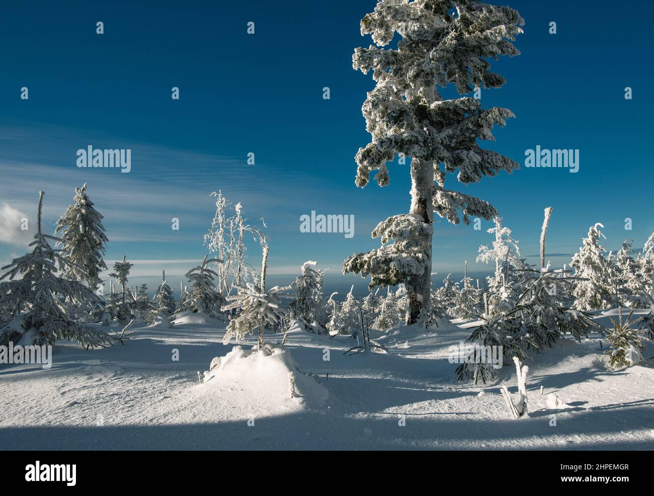 Inverno nei monti Beskidy vicino a Szyndzielnia, Klimczok e Blatnia, Beskid Slaski, Polonia Foto Stock