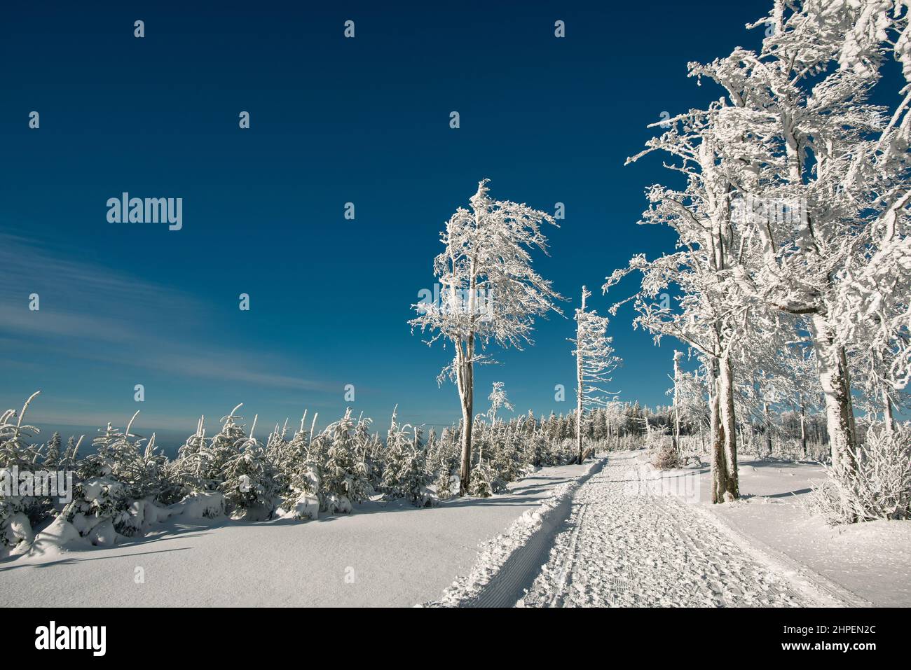 Inverno nei monti Beskidy vicino a Szyndzielnia, Klimczok e Blatnia, Beskid Slaski, Polonia Foto Stock
