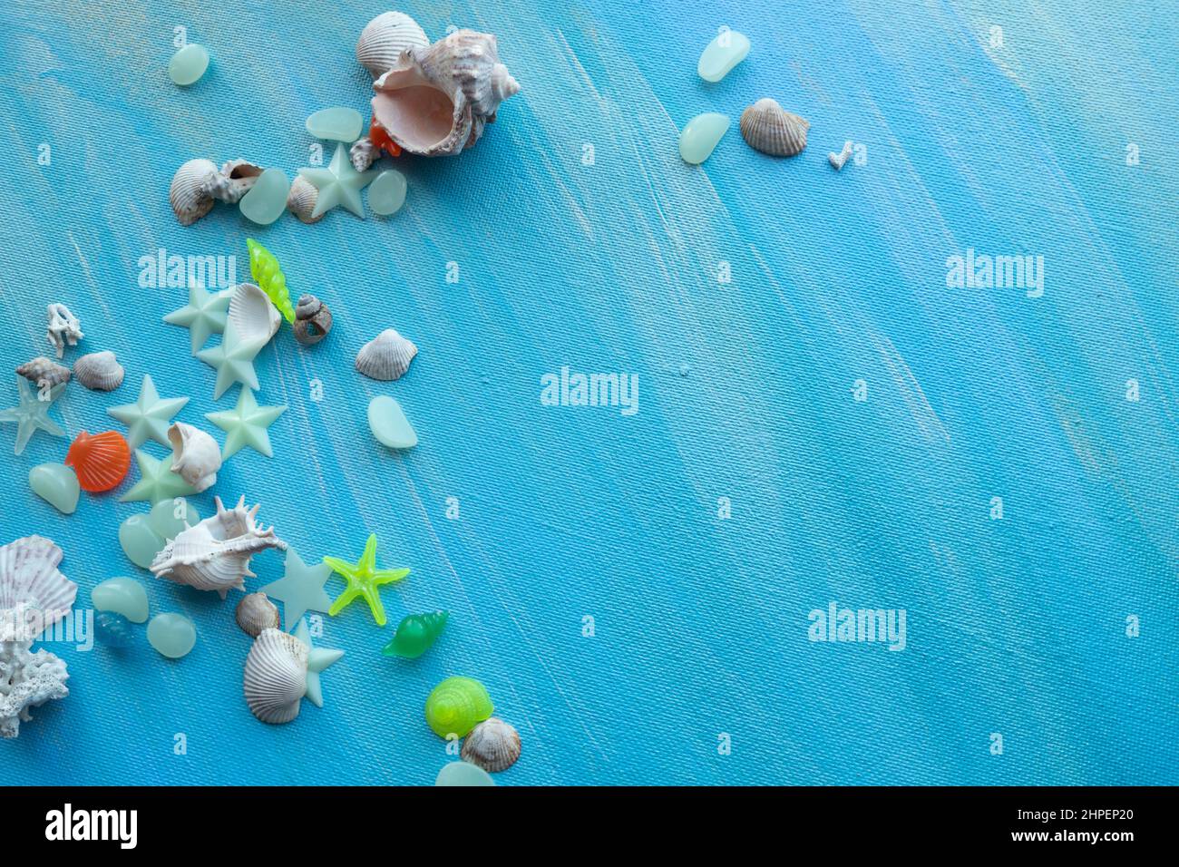Conchiglie sfondo estivo. Molte diverse conchiglie, stelle marine su uno sfondo di tratti di vernice turchese. Posiziona per il testo. Foto Stock