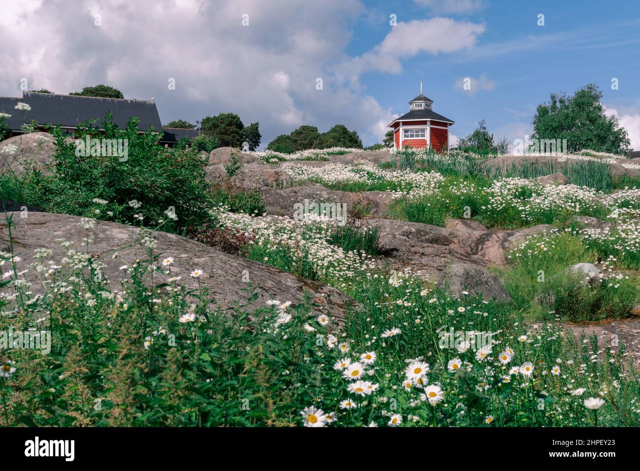 Scena rurale nel Nord Europa. Un tipico cottage in legno dipinto di rosso in un paesaggio roccioso con macchie di fiori bianchi e vegetazione bassa in primo piano. Il cielo è parzialmente nuvoloso. Foto Stock