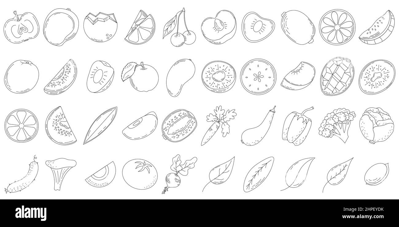 Un set di frutta e verdura di linea, fette e metà di frutta, foglie e ossa. Icone di linea. Illustrazione Vettoriale