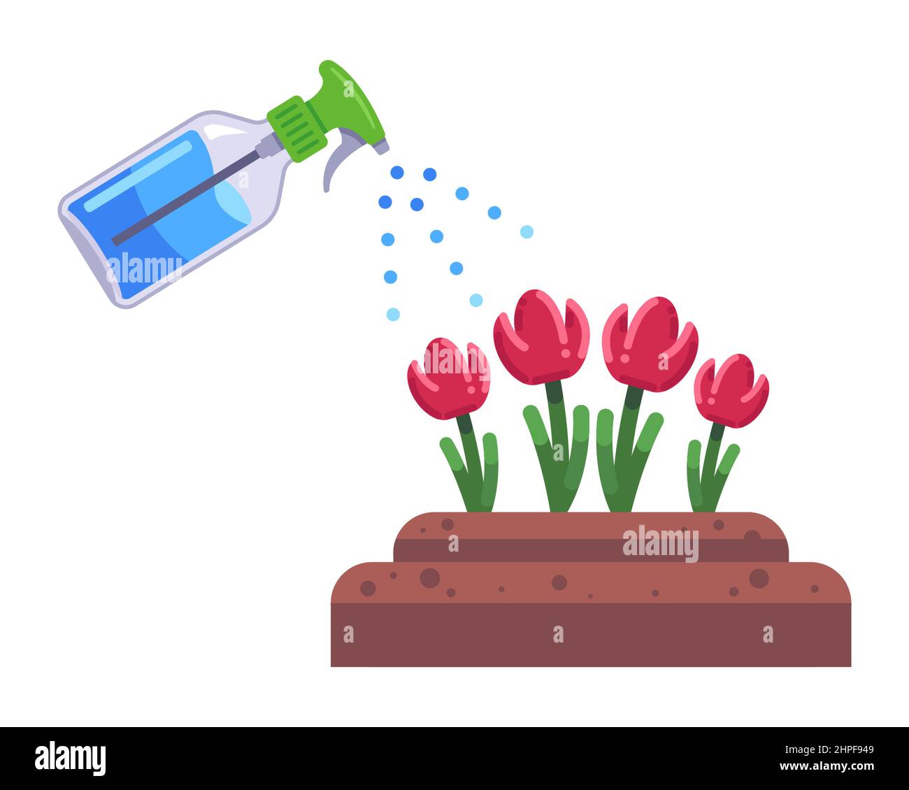 tulipani crescono nel letto del giardino. cura dei fiori. illustrazione vettoriale piatta. Illustrazione Vettoriale