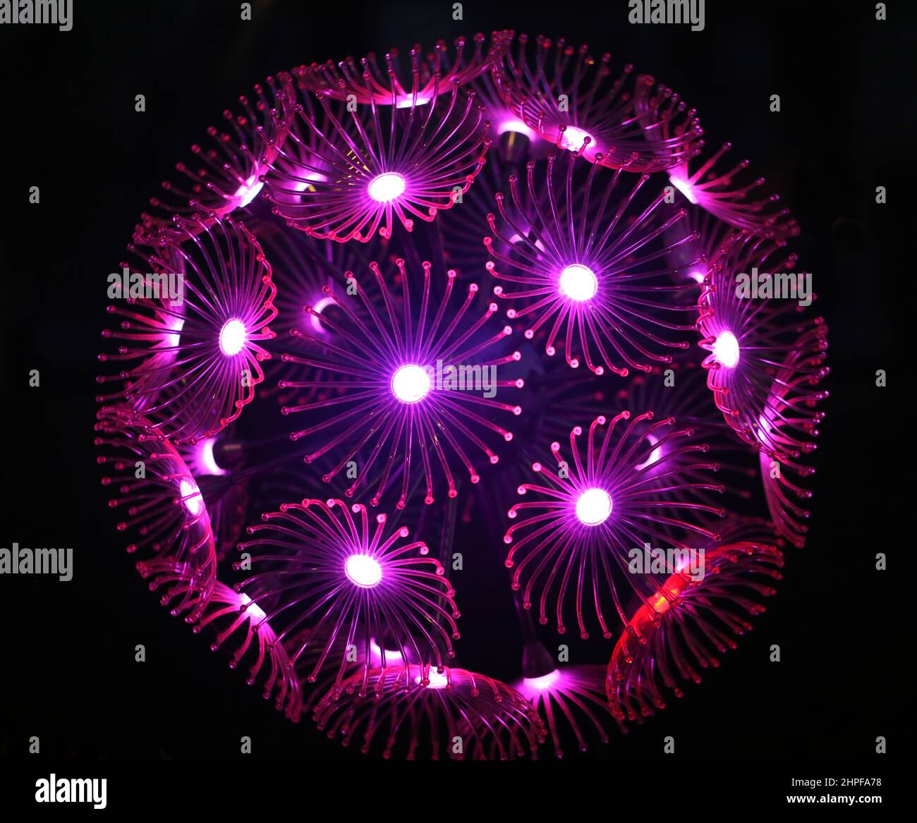 Foto di una sfera di dente di leone incandescente nella notte. Un esempio di design moderno con poster. Foto Stock