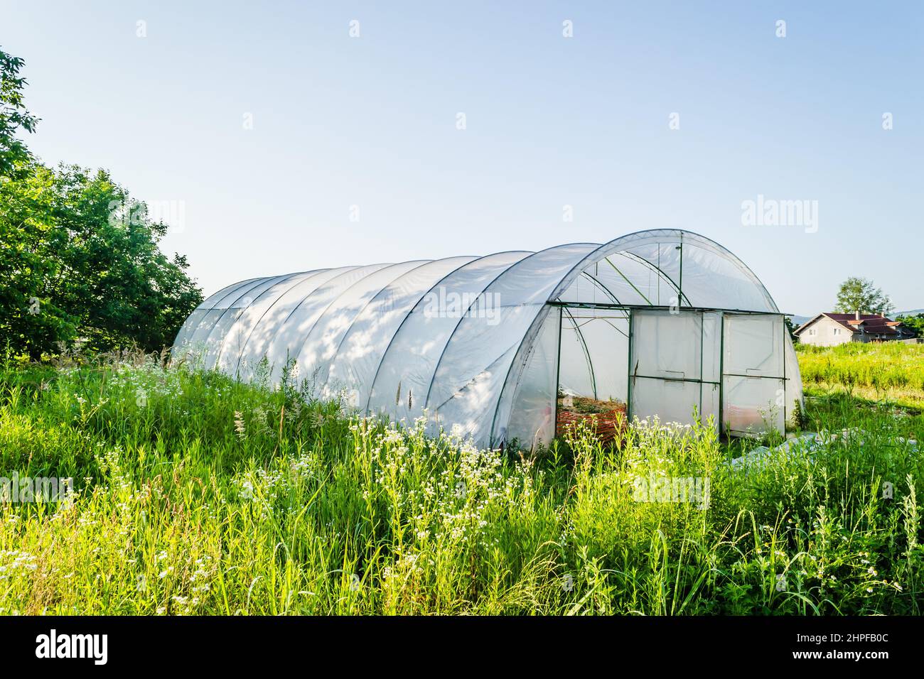 Serra privata nei sobborghi di Petrovaradin, Novi Sad, Serbia. Una nuova serra sotto il cielo blu nelle ore primaverili del mattino. Foto Stock