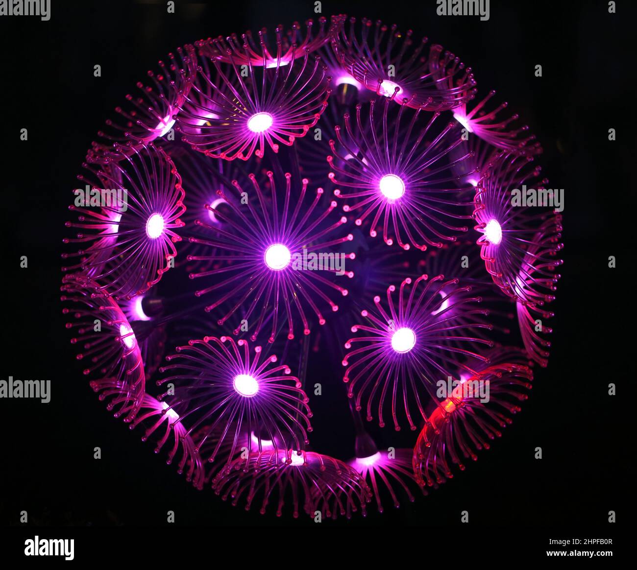 Foto di una sfera di dente di leone incandescente nella notte. Un esempio di design moderno con poster. Foto Stock