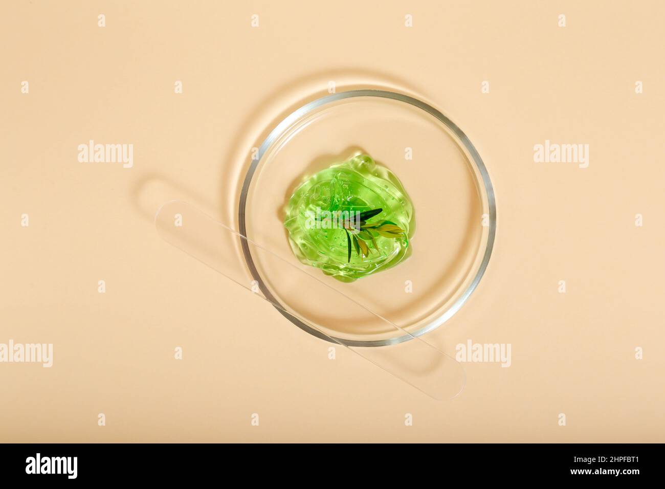 Gel di Aloe cosmetici naturali per cosmetologia. Gel verde erbe mediche ingredienti in vetreria da laboratorio. Prodotti cosmetici per la cura della pelle in capsule di Petri Foto Stock