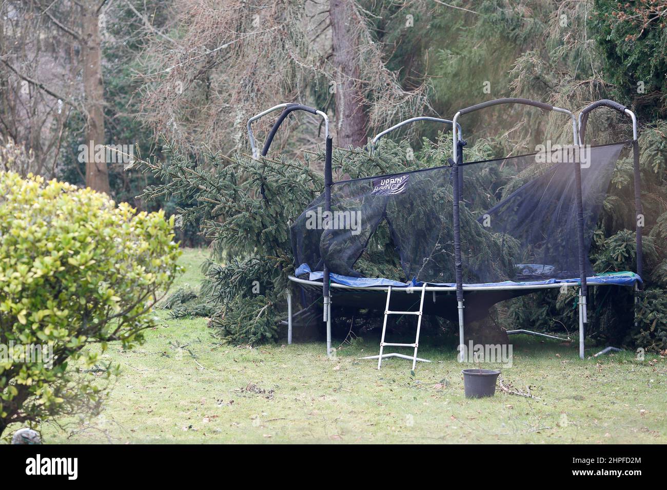 Hambledon Road, Godalming. 21st febbraio 2022. Venti alti attraverso le contee domestiche ancora oggi come Storm Franklin fatto la caduta. Tempesta danni in Godalming in Surrey. Credit: james jagger/Alamy Live News Foto Stock