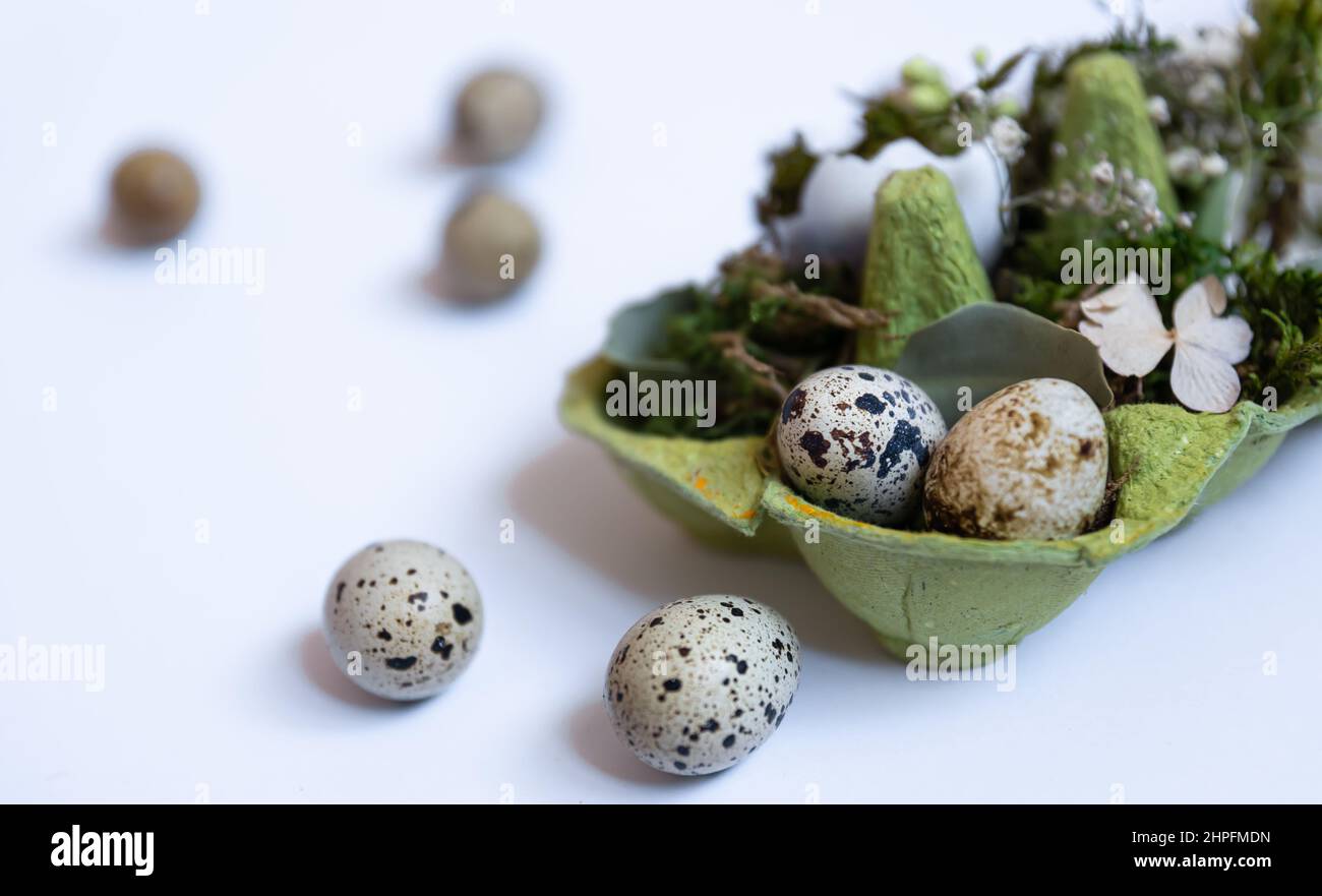 Primo piano, uova di quaglia in un vassoio, Pasqua concetto di vacanza. Foto Stock
