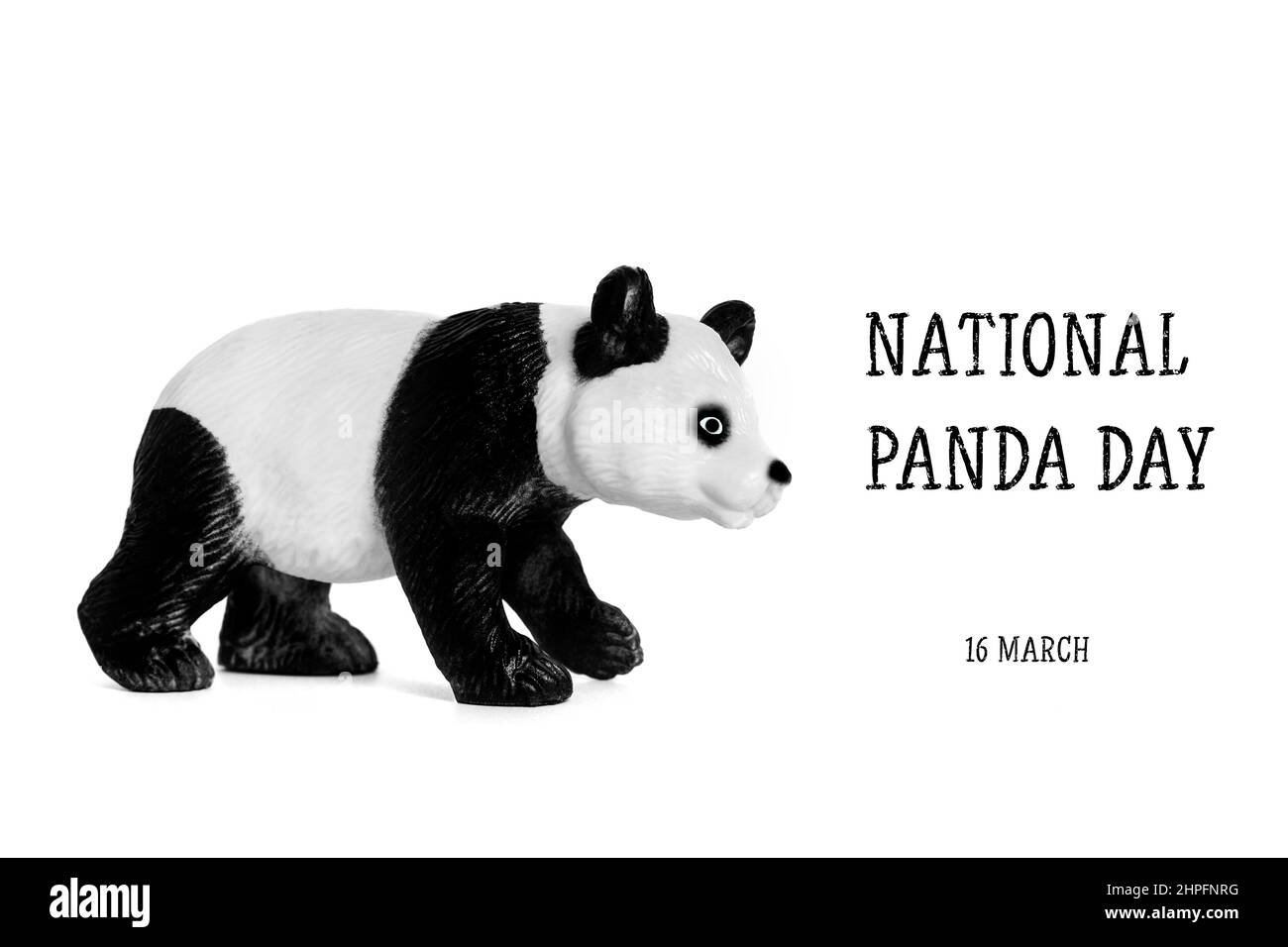 Giorno Nazionale dei Panda 16 marzo celebrare gli orsi più fluffiest, bambù-munching che sono fonte di orgoglio nazionale per la Cina. Ecco perché è importante prot Foto Stock