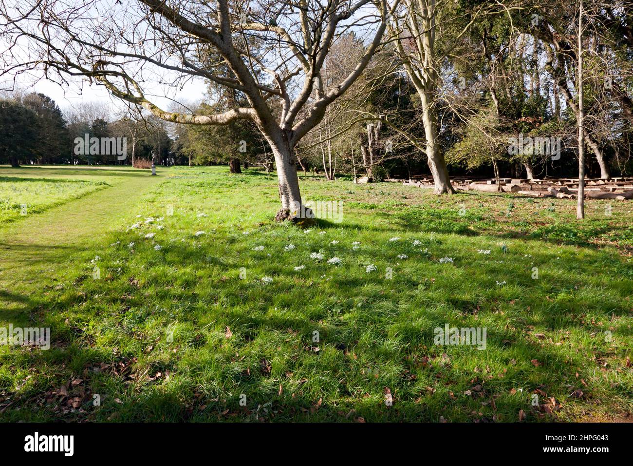 Inverno Sunshine nei Giardini al Castello di Walmer, Kent Foto Stock