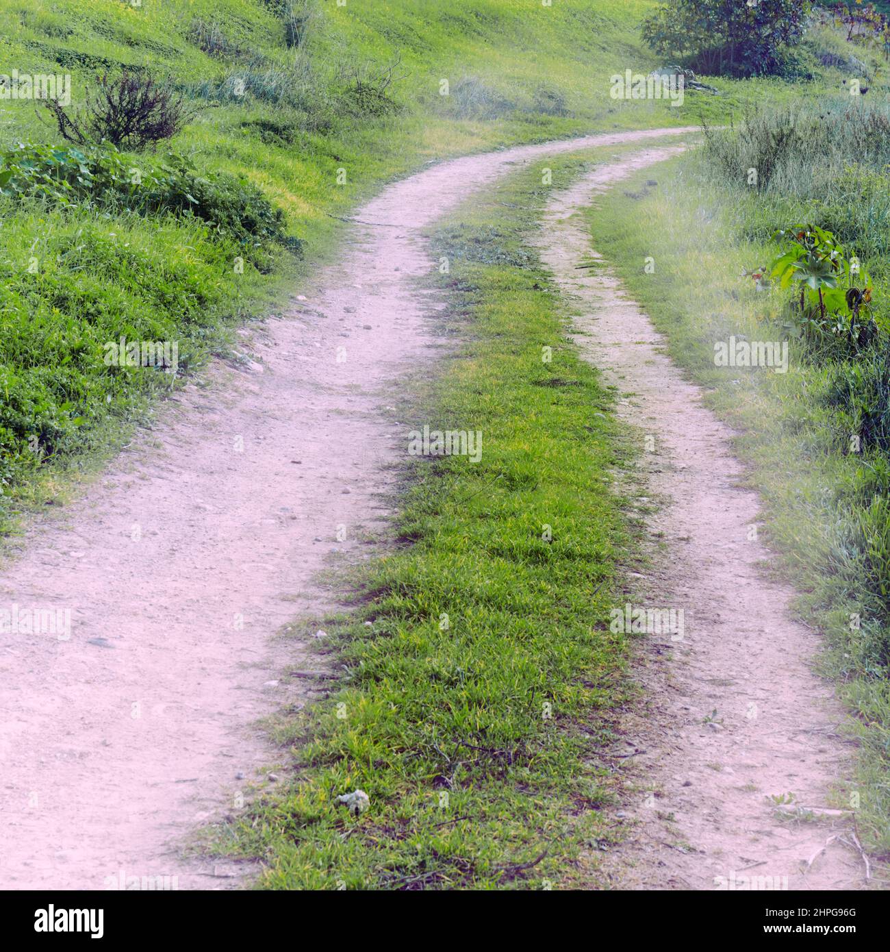 Strada sterrata attraverso verde campagna. Foto Stock