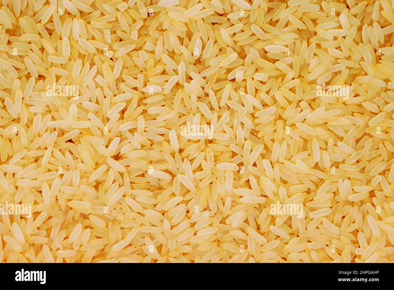 Riso di grano lungo in un closeup Foto Stock