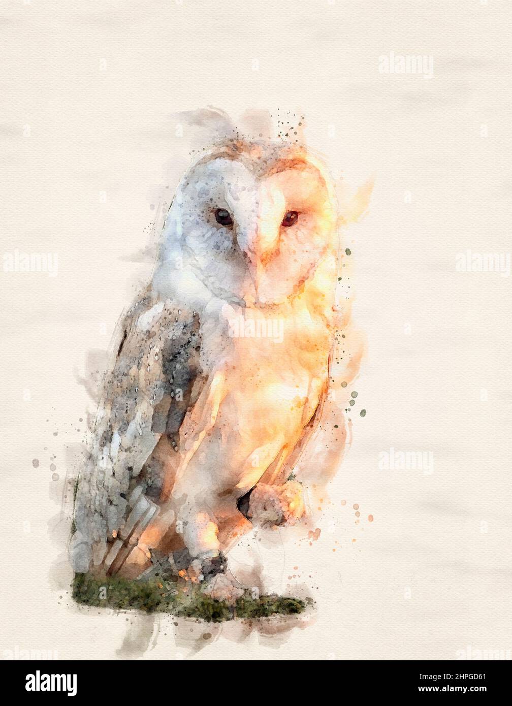 Effetto acquerello Barn Owl appollaiato Foto Stock