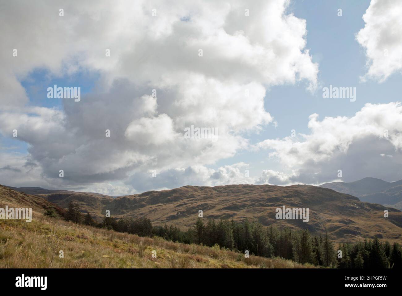 Guardando attraverso Glen Trool dalle pendici del Benyellary sul sentiero per la cima di Merrick Dumfries e Galloway Scozia Foto Stock