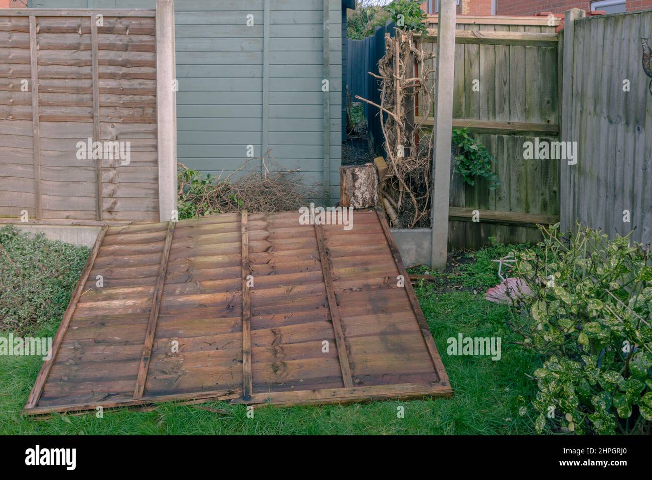 Derby, Regno Unito, Feb 21 2022: Garden Fence danneggiato a causa di High Winds dalla tempesta Eunice che ha colpito il Regno Unito il 20 febbraio 2022 Foto Stock