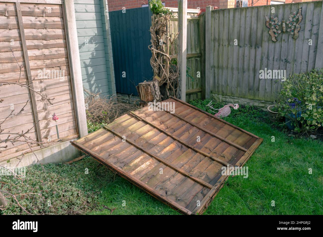 Derby, Regno Unito, Feb 21 2022: Garden Fence danneggiato a causa di High Winds dalla tempesta Eunice che ha colpito il Regno Unito il 20 febbraio 2022 Foto Stock