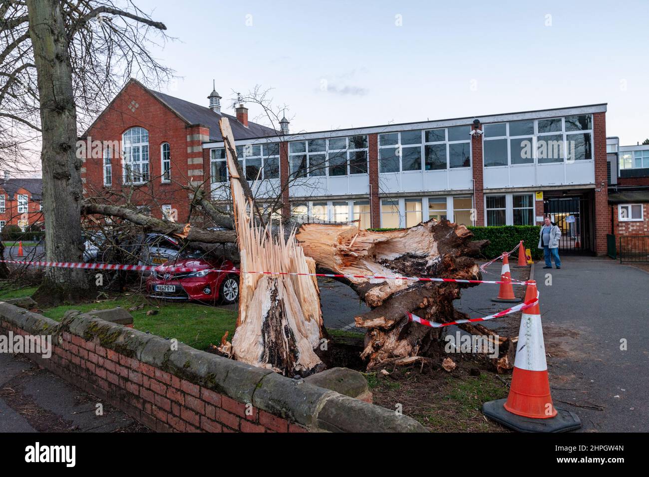 Northampton, Regno Unito. Meteo. 21st febbraio 2022. Forti venti dalla tempesta Franklins soffia giù un grande albero schiacciando 4 automobili nella Northampton School for Boys su Billing Road. Credit: Keith J Smith./Alamy Live News. Foto Stock