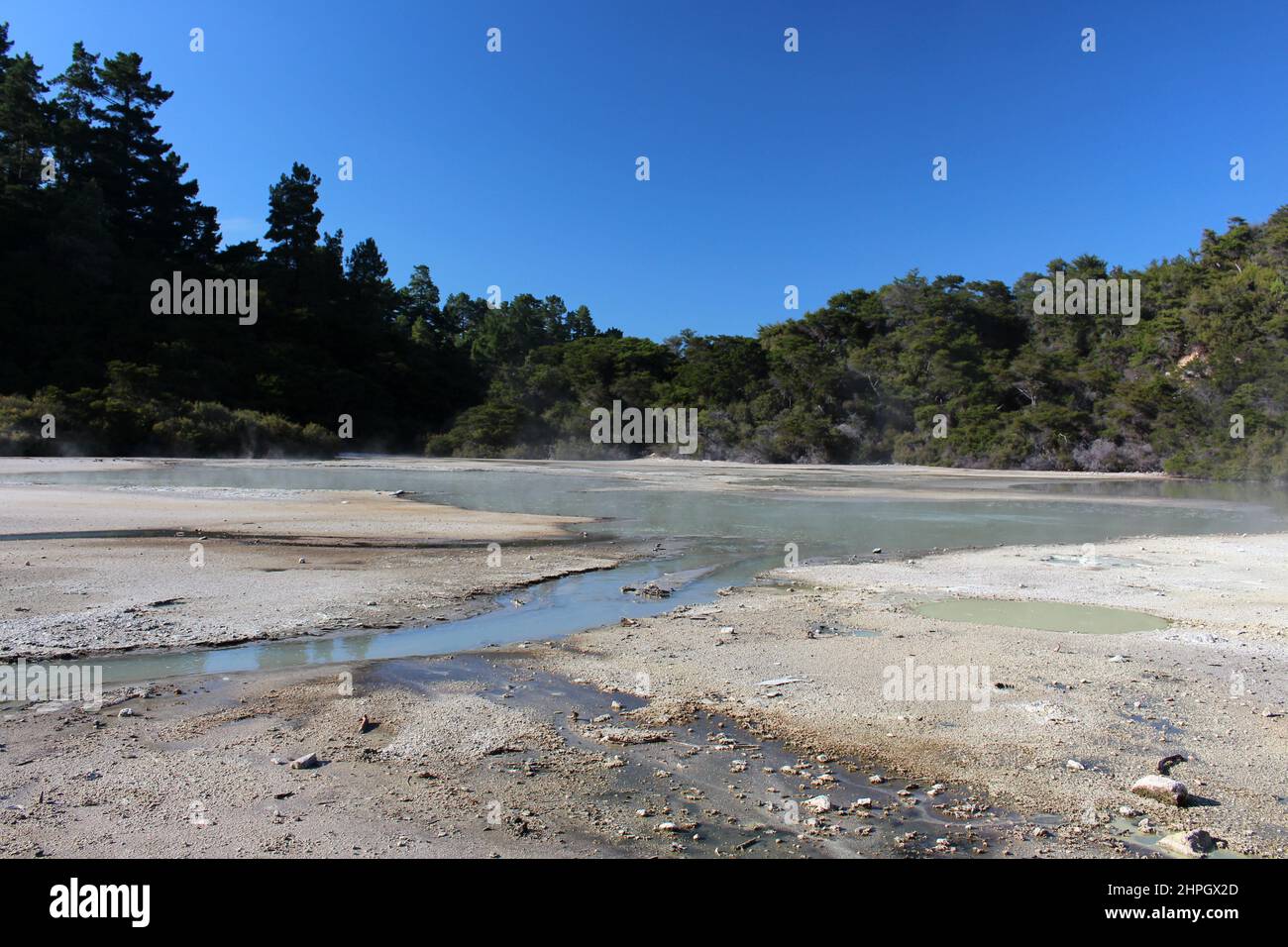 Padella piatto in Thermal Wonderland Wai-o-Tapu in Nuova Zelanda Foto Stock