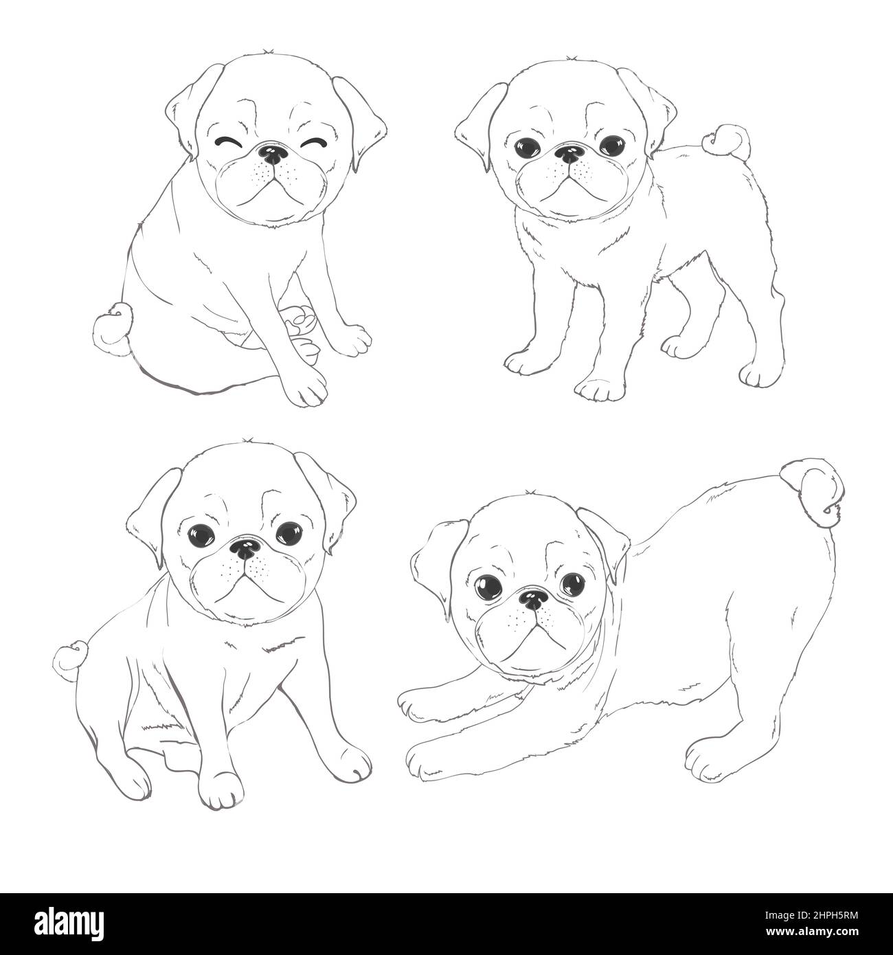 Set di immagini vettoriali di pug. Oggetti isolati su sfondo bianco. Illustrazione del cartone animato del cane PUG. Carino simpatico cucciolo di pegno fat chubby seduta pug, SM Illustrazione Vettoriale