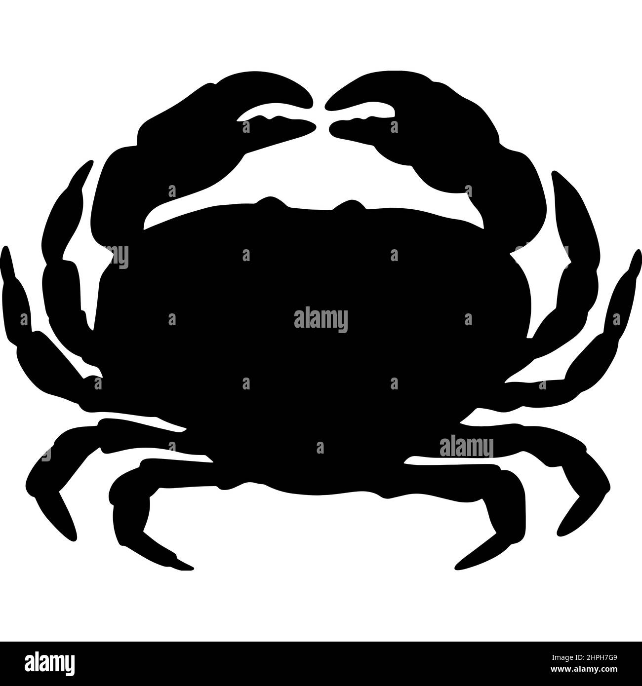 Silhouette nera di un airone. Un uccello d'acqua. Un parente della cicogna e della gru. Illustrazione di un animale Foto Stock