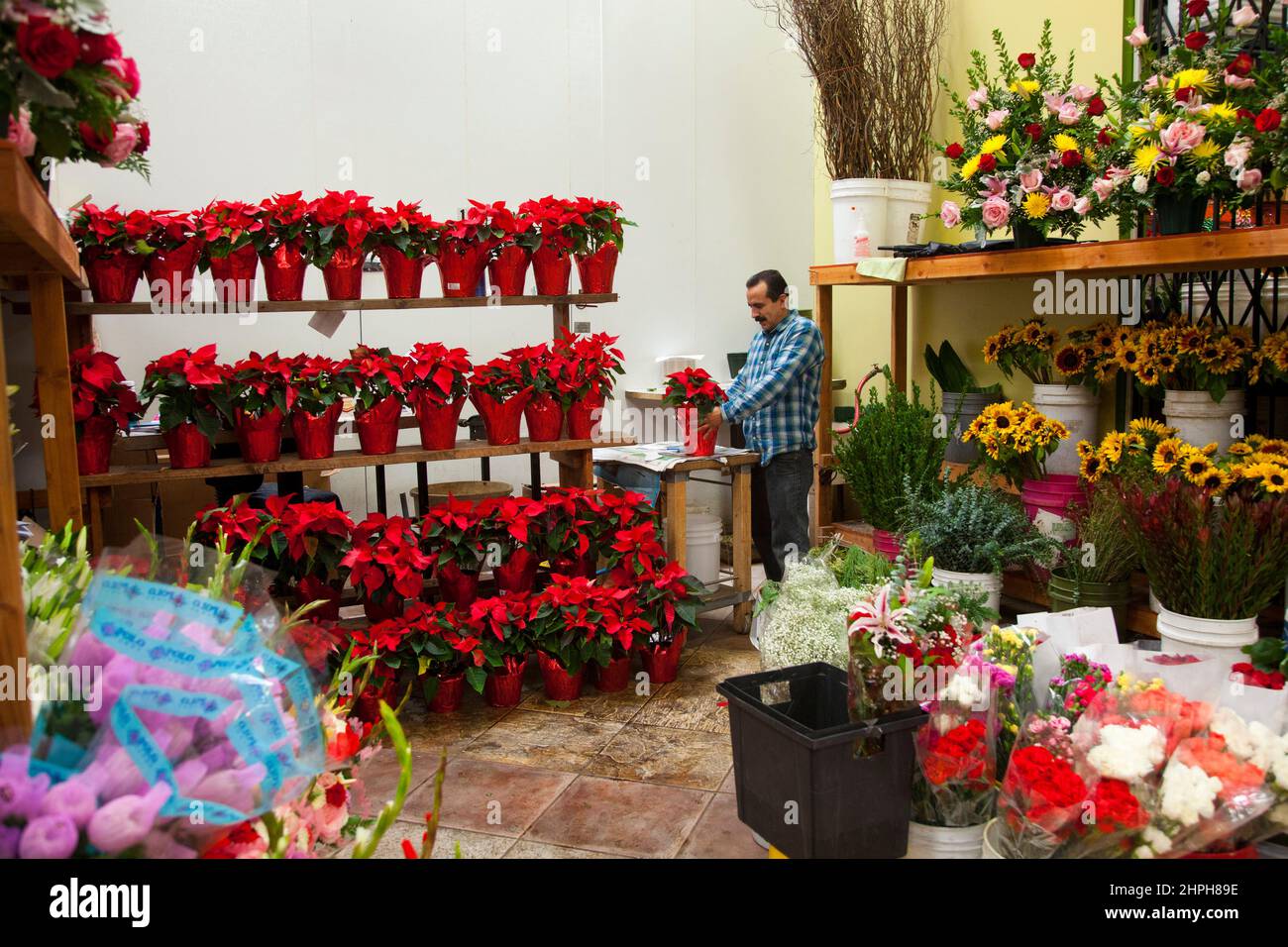 Flower Mart, Los Angeles, California, Stati Uniti d'America Foto Stock