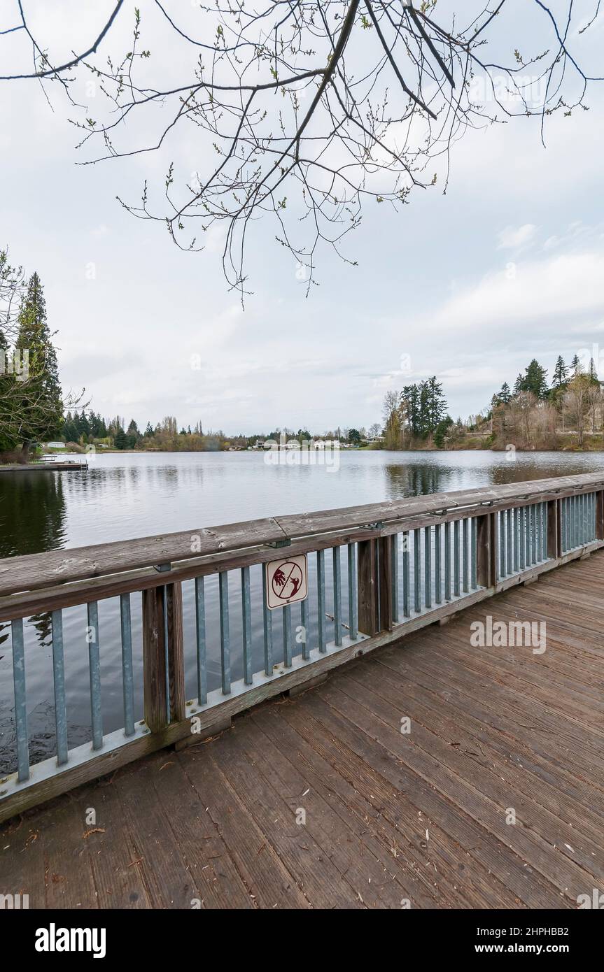 Lake Boren Park Wetlands da un molo di pesca a Newcastle, Washington. Foto Stock